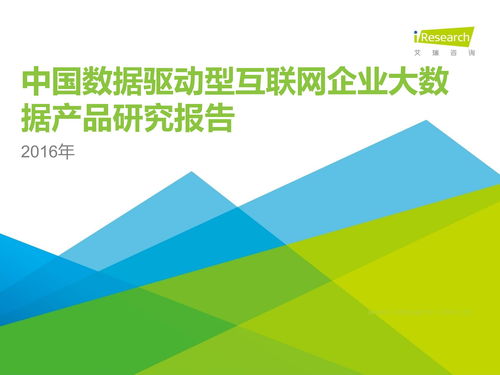 2016年中國數據驅動型互聯網企業大數據產品研究報告 洞察互聯網數據服務的新前沿